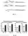 Fig. 10 - SYSTEMS AND METHODS FOR POLYNUCLEOTIDE SPATIAL ORGANIZATION