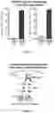 Fig. 18 - SYSTEMS AND METHODS FOR POLYNUCLEOTIDE SPATIAL ORGANIZATION