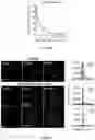 Fig. 21 - SYSTEMS AND METHODS FOR POLYNUCLEOTIDE SPATIAL ORGANIZATION