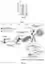Fig. 30 - SYSTEMS AND METHODS FOR POLYNUCLEOTIDE SPATIAL ORGANIZATION