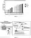 Fig. 32 - SYSTEMS AND METHODS FOR POLYNUCLEOTIDE SPATIAL ORGANIZATION