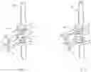 Fig. 08 - Multiple cylinder engine