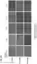 Fig. 11 - Composite materials with adjustable spectral properties