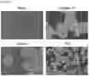 Fig. 06 - CELL-BASED METHOD FOR DETERMINING AN ACTIVITY OF BOTULINUM TOXIN