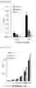 Fig. 29 - CELL-BASED METHOD FOR DETERMINING AN ACTIVITY OF BOTULINUM TOXIN