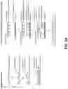 Fig. 02 - Homogenous assay (II)