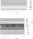 Fig. 03 - Liquid crystal display panel and display device
