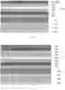 Fig. 06 - Liquid crystal display panel and display device