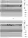 Fig. 08 - Liquid crystal display panel and display device