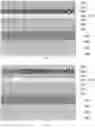 Fig. 09 - Liquid crystal display panel and display device