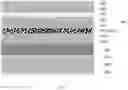 Fig. 12 - Liquid crystal display panel and display device