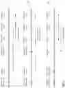 Fig. 07 - Accounting for driver reaction time when providing driving instructions