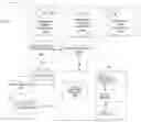 Fig. 02 - Dynamic execution of parameterized applications for the processing of keyed network data streams