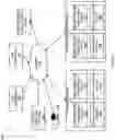 Fig. 02 - Big data application lifecycle management