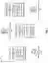 Fig. 02 - Centralized network environment for processing validated executable data based on authorized hash outputs