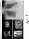 Fig. 03 - Method and system for rule based display of sets of images