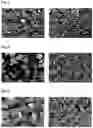 Fig. 03 - FREEZE-DRIED ARIPIPRAZOLE FORMULATION