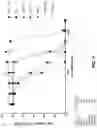 Fig. 04 - METHODS OF TREATING FLT3-MUTATED HEMATOLOGIC CANCERS