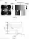Fig. 09 - METHOD FOR FABRICATING NANOSTRUCTURED OPTICAL ELEMENTS USING POLARISED LIGHT