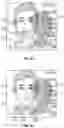 Fig. 12 - Secure identity document and methods of manufacturing the same