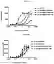 Fig. 16 - INTERLEUKIN-10 POLYPEPTIDE CONJUGATES, DIMERS THEREOF, AND THEIR USES