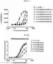 Fig. 17 - INTERLEUKIN-10 POLYPEPTIDE CONJUGATES, DIMERS THEREOF, AND THEIR USES