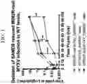 Fig. 04 - CELLS FOR THE PRODUCTION OF VIRUSES AND METHODS OF USING THE SAME