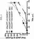 Fig. 05 - CELLS FOR THE PRODUCTION OF VIRUSES AND METHODS OF USING THE SAME