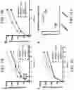 Fig. 06 - CELLS FOR THE PRODUCTION OF VIRUSES AND METHODS OF USING THE SAME