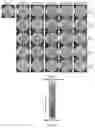 Fig. 02 - ANIMAL MODELS AND SCREENING METHODS FOR INTRAOCULAR DISEASE OR DISORDER