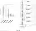 Fig. 06 - Compositions and Methods for DNA Modification Detection