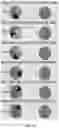 Fig. 09 - Compositions and Methods for DNA Modification Detection