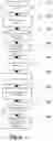 Fig. 03 - METHOD AND SYSTEM FOR IDENTIFYING ANALOGOUS WELL LOG DATA WHILE MAINTAINING CONFIDENTIALITY