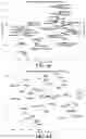 Fig. 09 - Motion taxonomy for manipulation embedding and recognition