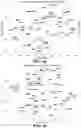 Fig. 10 - Motion taxonomy for manipulation embedding and recognition