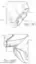Fig. 41 - BANKNOTE PROCESSING DEVICE AND METHODS