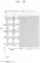 Fig. 08 - Display panel including non-uniform pixel density and display device including the same