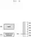 Fig. 35 - Method and apparatus for transmission and reception of sidelink control information in wireless communication system