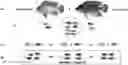 Fig. 01 - STERILE FISH