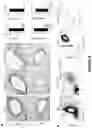 Fig. 14 - Methods of Treating Inflammation
