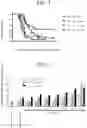 Fig. 02 - Method for treating cancer using artificial adjuvant cell (aAVC)