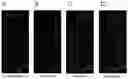 Fig. 04 - Tissue scaffold materials for tissue regeneration and methods of making