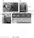 Fig. 06 - Tissue scaffold materials for tissue regeneration and methods of making