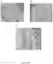 Fig. 07 - Tissue scaffold materials for tissue regeneration and methods of making