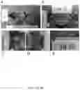 Fig. 09 - Tissue scaffold materials for tissue regeneration and methods of making