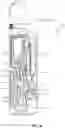 Fig. 04 - CONTROLLING DNA CONCENTRATION FOR STR ANALYSIS