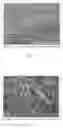 Fig. 03 - Stable dispersant and application thereof in preparing copolymer polyols