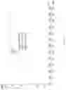 Fig. 03 - Crystal form of hepatitis B surface antigen inhibitor