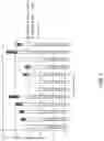 Fig. 03 - COMPOSITIONS FOR STABILIZING BACTERIA AND USES THEREOF