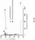 Fig. 06 - COMPOSITIONS FOR STABILIZING BACTERIA AND USES THEREOF